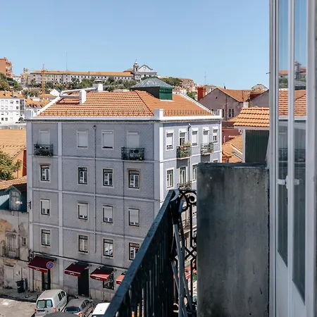 Pena In Arroios, By Mycelia