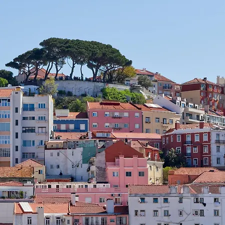 Portucale ! Downtown 3br With Balcony Apartment *