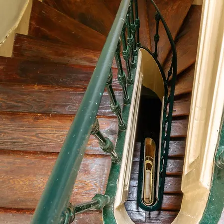 Pena In Arroios, By Mycelia